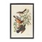 Stupell Industries Classic Audubon Bird Study Framed Floater Canvas Wall Art Design by one1000paintings